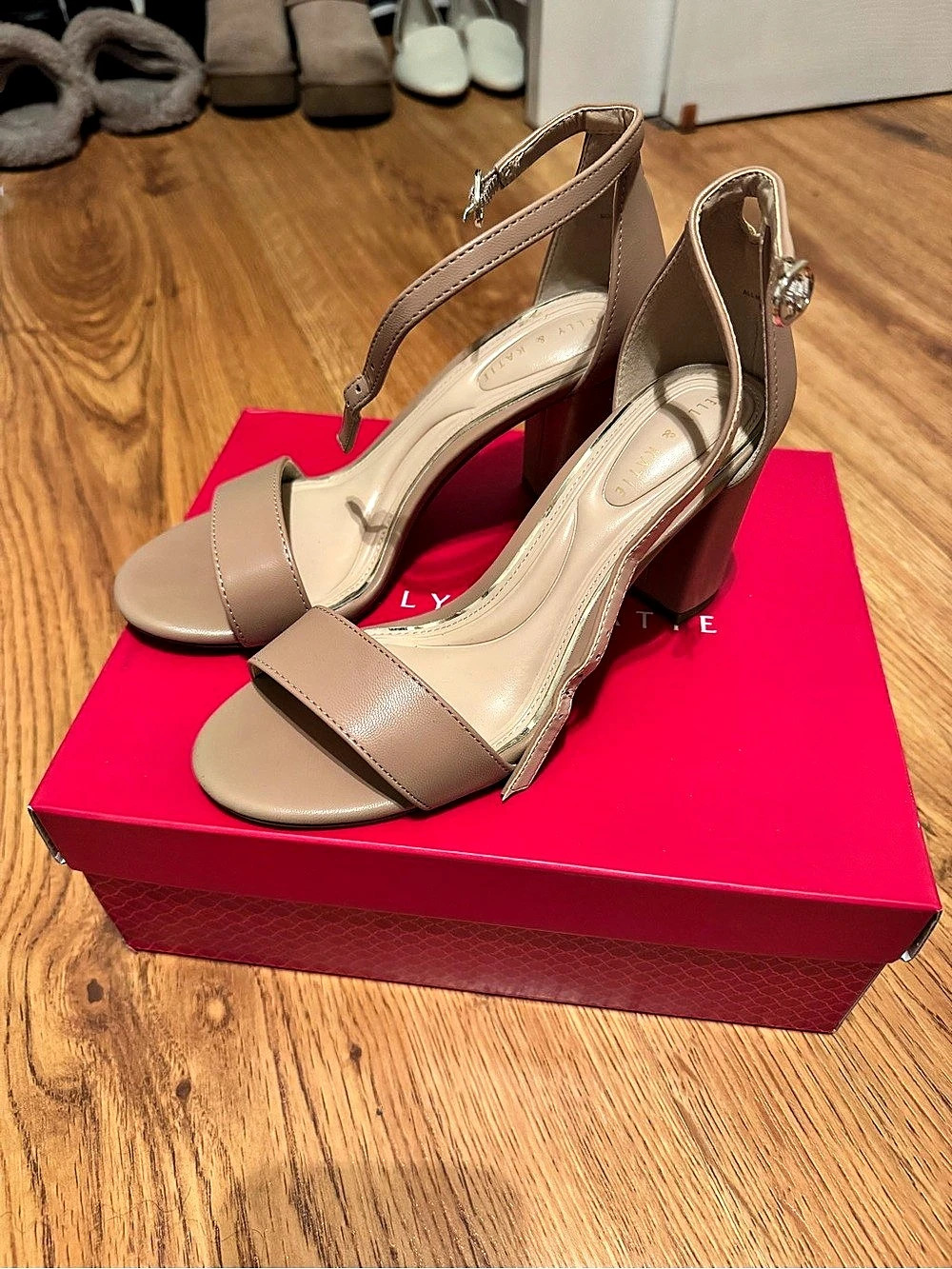 Kelly & Katie Ankle Strap Heels in Brown